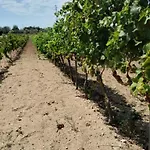 Malapezza Apartman