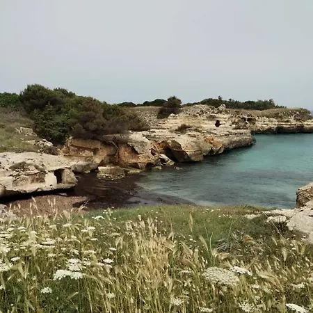 Malapezza Borgagne