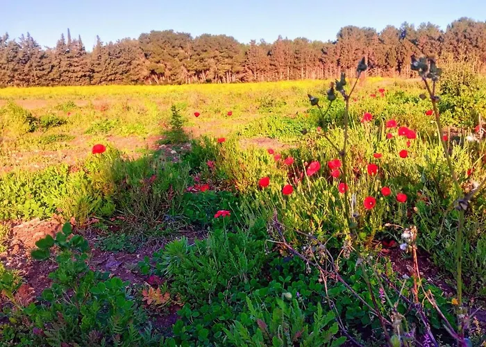 Malapezza * Borgagne