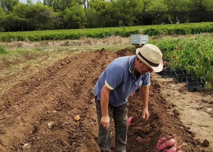 Appartement Malapezza