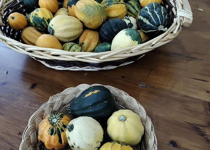 Appartement Malapezza *